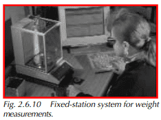 Fixed-station system for weight measurements.