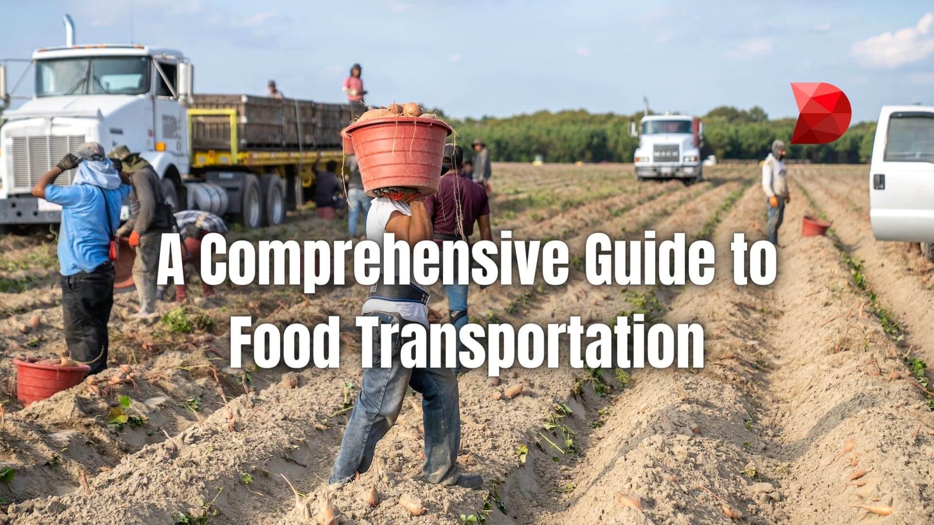 We will discuss the significance of food transportation and tips for a safer quality food transportation experience. Read here to learn more.