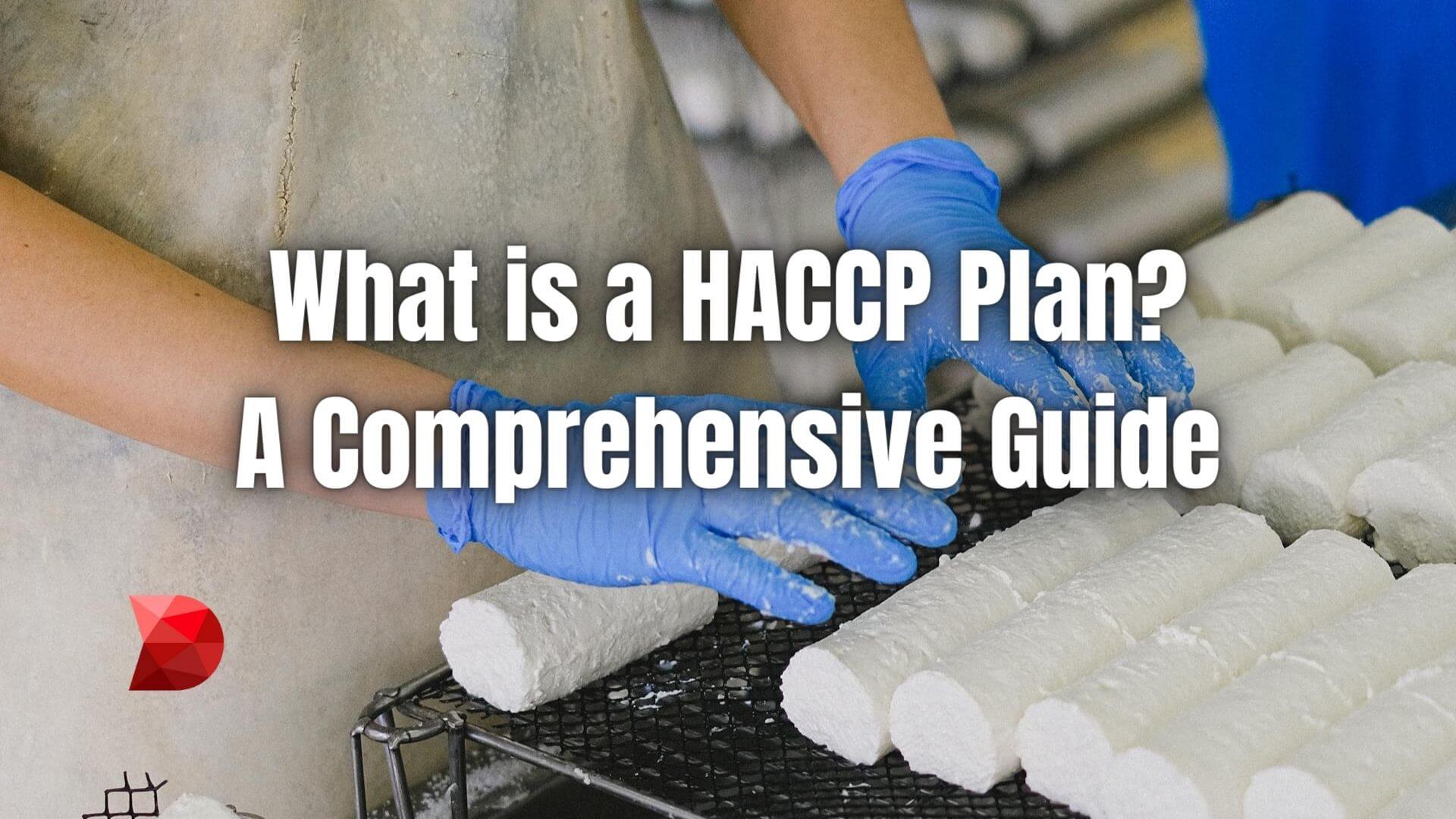 Unlock the essentials of HACCP plans with our guide. Learn the ins and outs of creating and implementing a robust HACCP strategy.