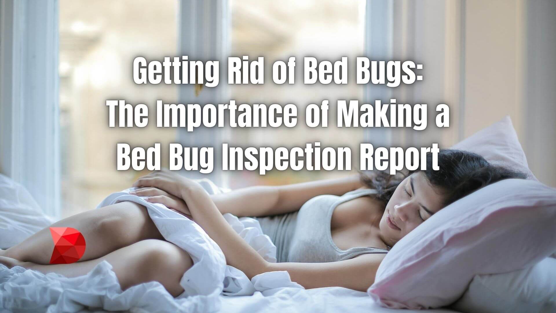 Conquer bed bugs once and for all! Click here to learn why crafting a bed bug inspection report is essential for effective pest management.