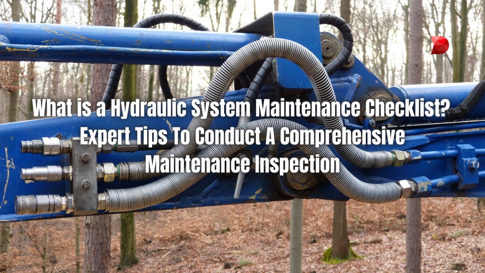 How to Check the Hydraulic Fluid Level? Expert Tips That Ensure Optimal Performance!  