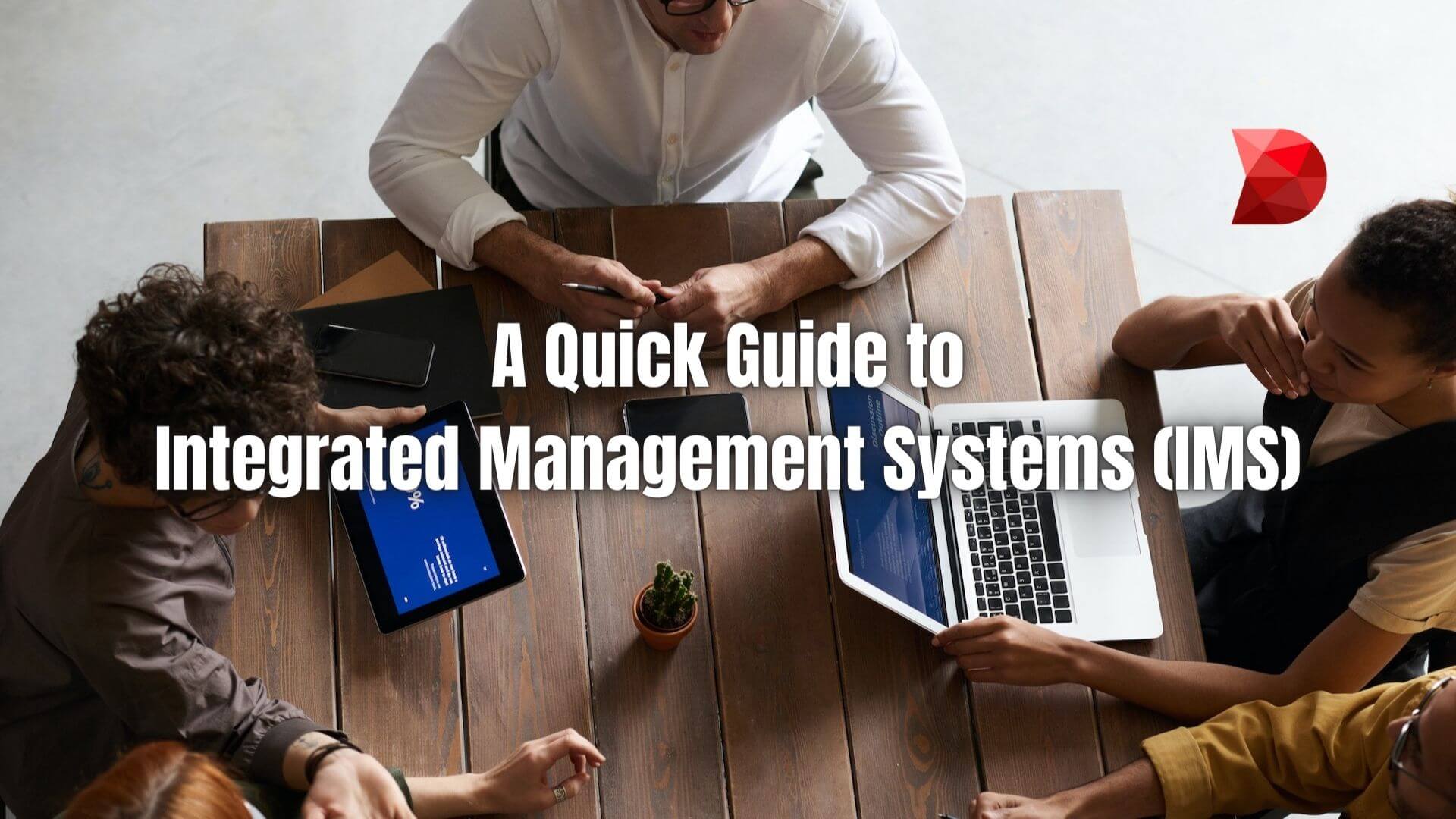 Integrated Management Systems are essential for organizations that want to ensure efficiency and continual improvement. Learn why!
