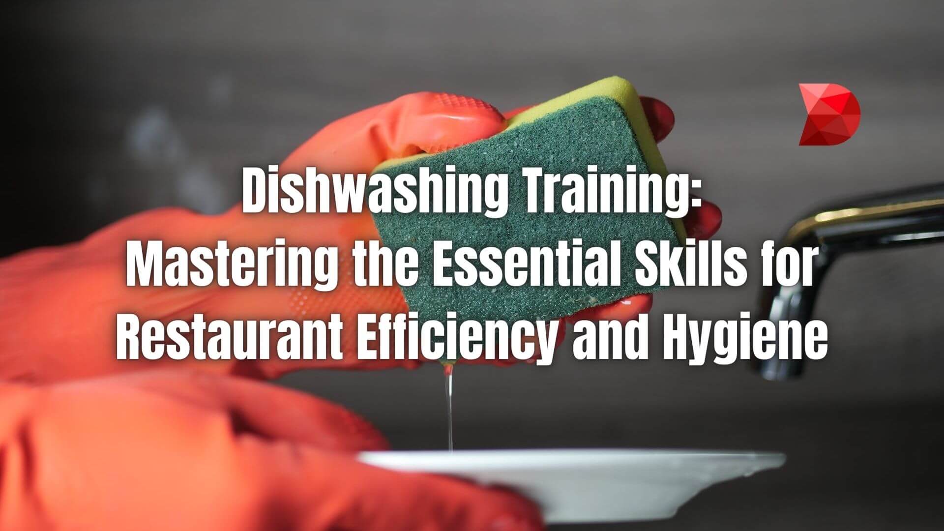 Discover expert tips and methods in this ultimate dishwashing training guide. Click here to learn expert tips, techniques, and strategies.